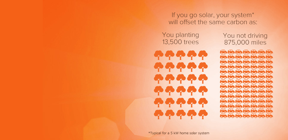 Going solar will offset the same amount of carbon as planting 13,500 trees or not driving 875,000 miles